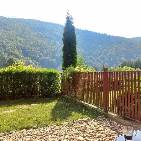 Belleview Garden Studio Lägenhet Sinaia Exteriör bild