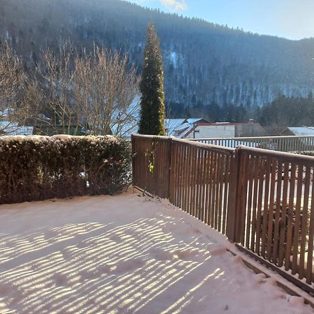 Belleview Garden Studio Lägenhet Sinaia Exteriör bild