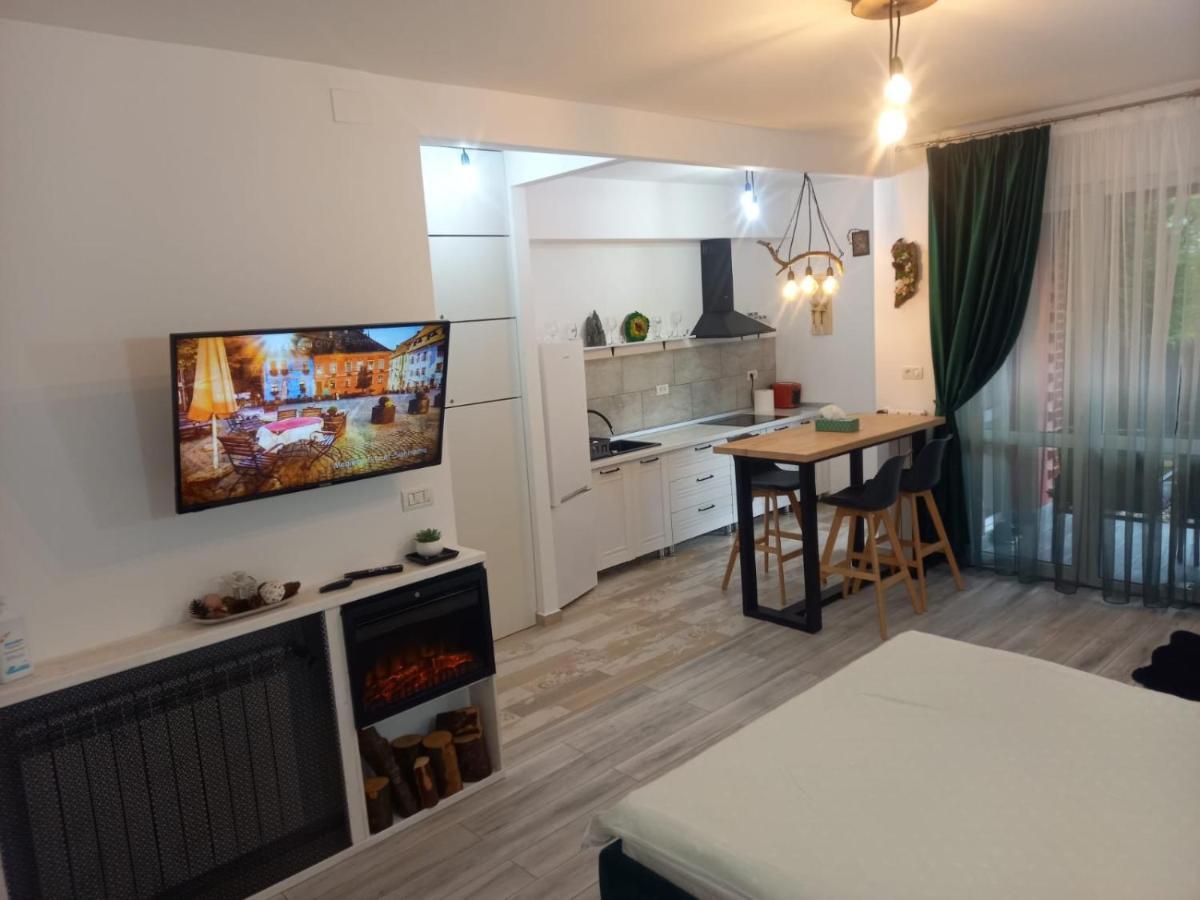 Belleview Garden Studio Lägenhet Sinaia Exteriör bild