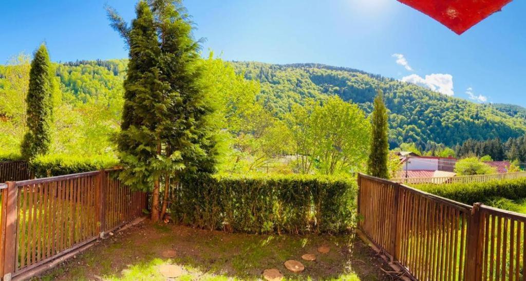 Belleview Garden Studio Lägenhet Sinaia Exteriör bild