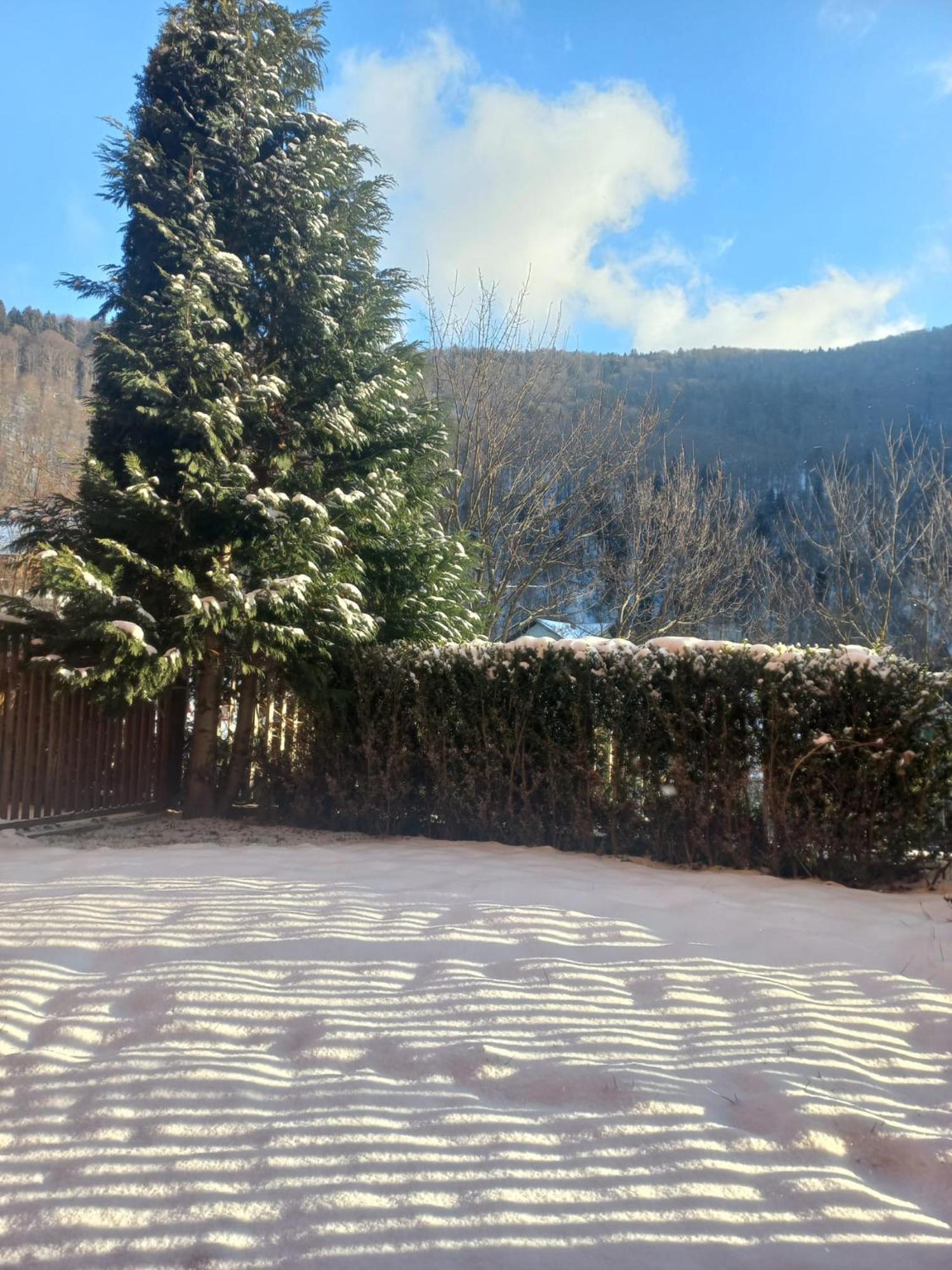 Belleview Garden Studio Lägenhet Sinaia Exteriör bild