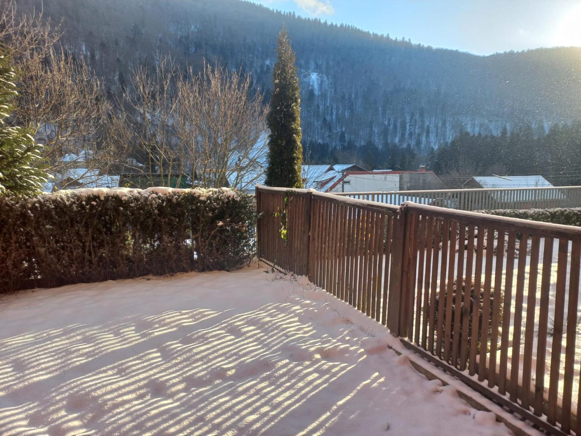 Belleview Garden Studio Lägenhet Sinaia Exteriör bild